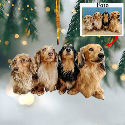 Acryl Weihnachtsornament-Personalisiertes Foto Haustier Ornament