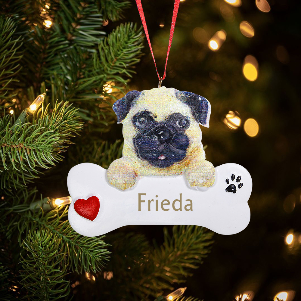 Harz Weihnachtsornament-Personalisierter 1 Name Mops Haustier Ornament