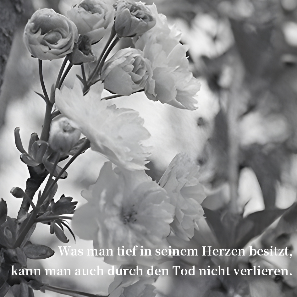 [Copy]Karte zum Abschied -Was man tief in seinem Herzen besitzt, kann man auch durch den Tod nicht verlieren.