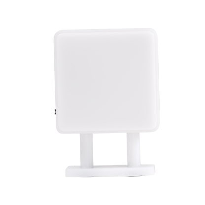 Personalisiertes Buchstabe & Name Quadratische-Kühlschrankmagnet mit Leuchtfunktion Schöne Blumen