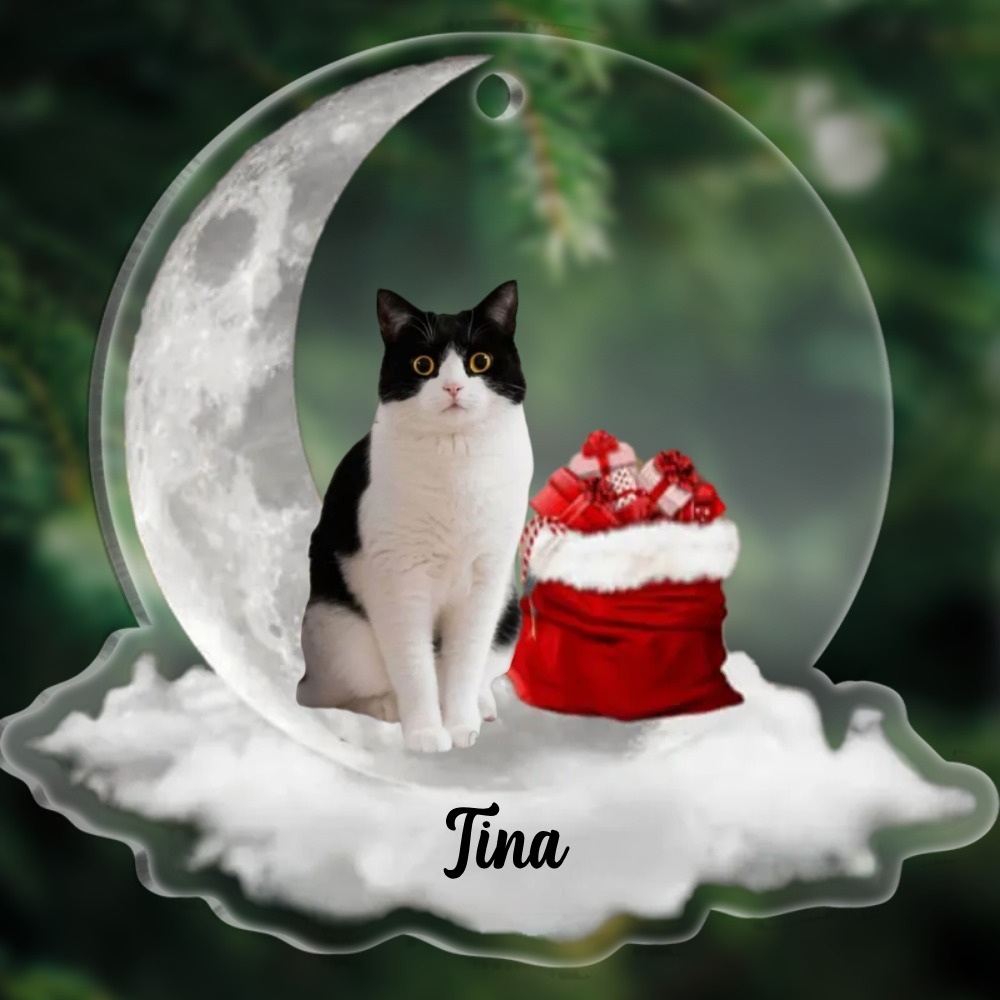 Acryl Weihnachtsornament-Personalisiertes Foto & Name Haustier Halbmond Rund Ornament/Schlüsselanhänger mit Schlüsselring