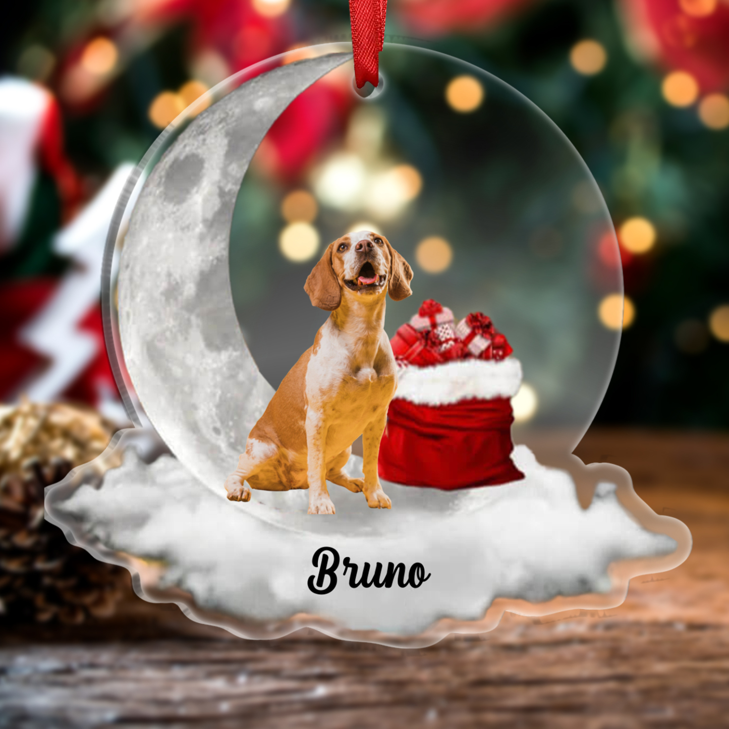 Cane luna e regalo-ornamento natalizio personalizzato con foto e nome