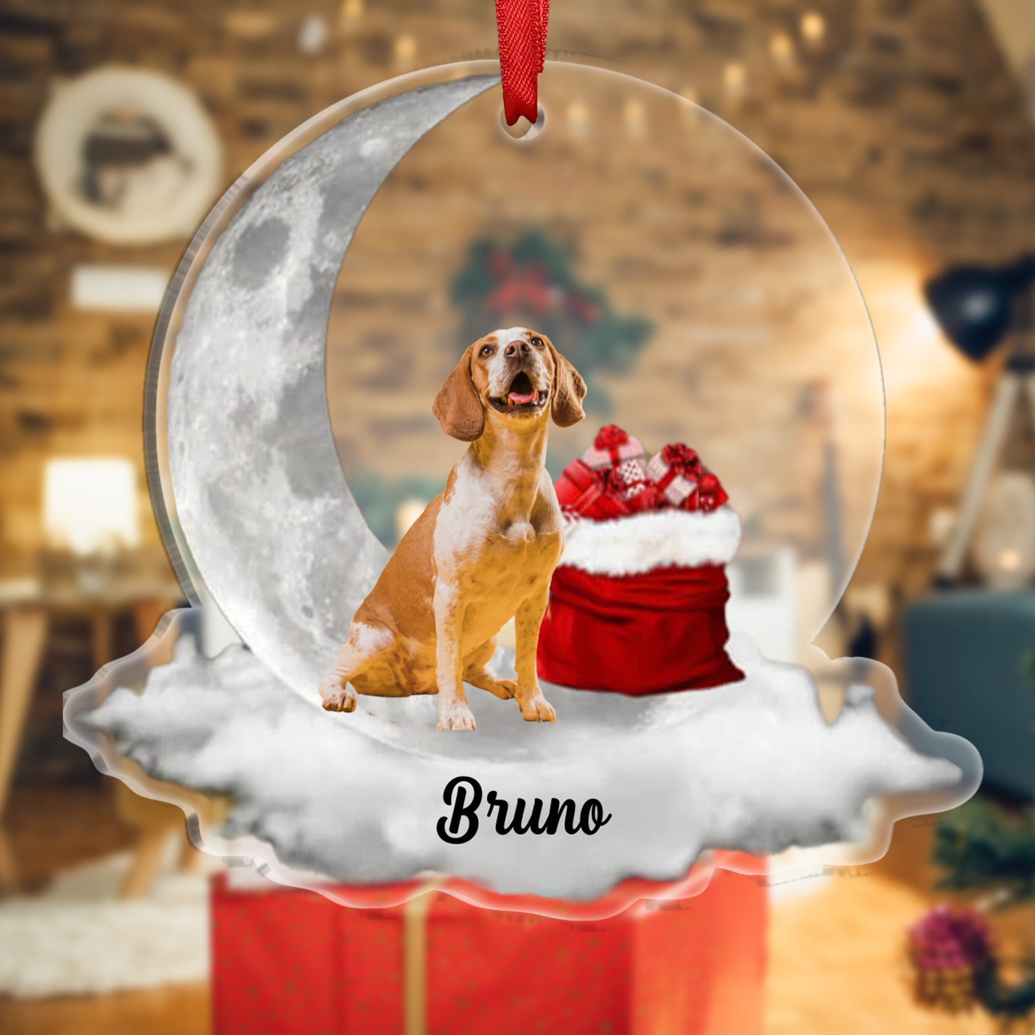 Cane luna e regalo-ornamento natalizio personalizzato con foto e nome