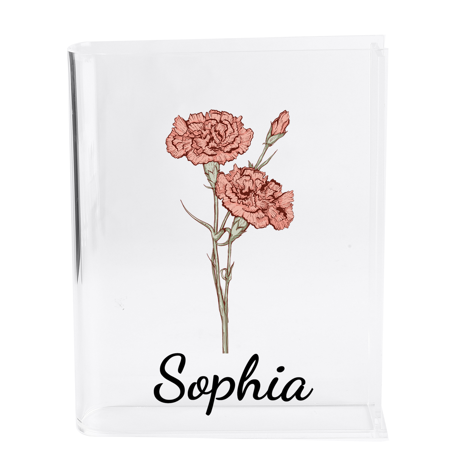 Ornamento in acrilico a forma di libro personalizzato con 1 fiore di nascita e 2 nomi anche usato come un vaso 