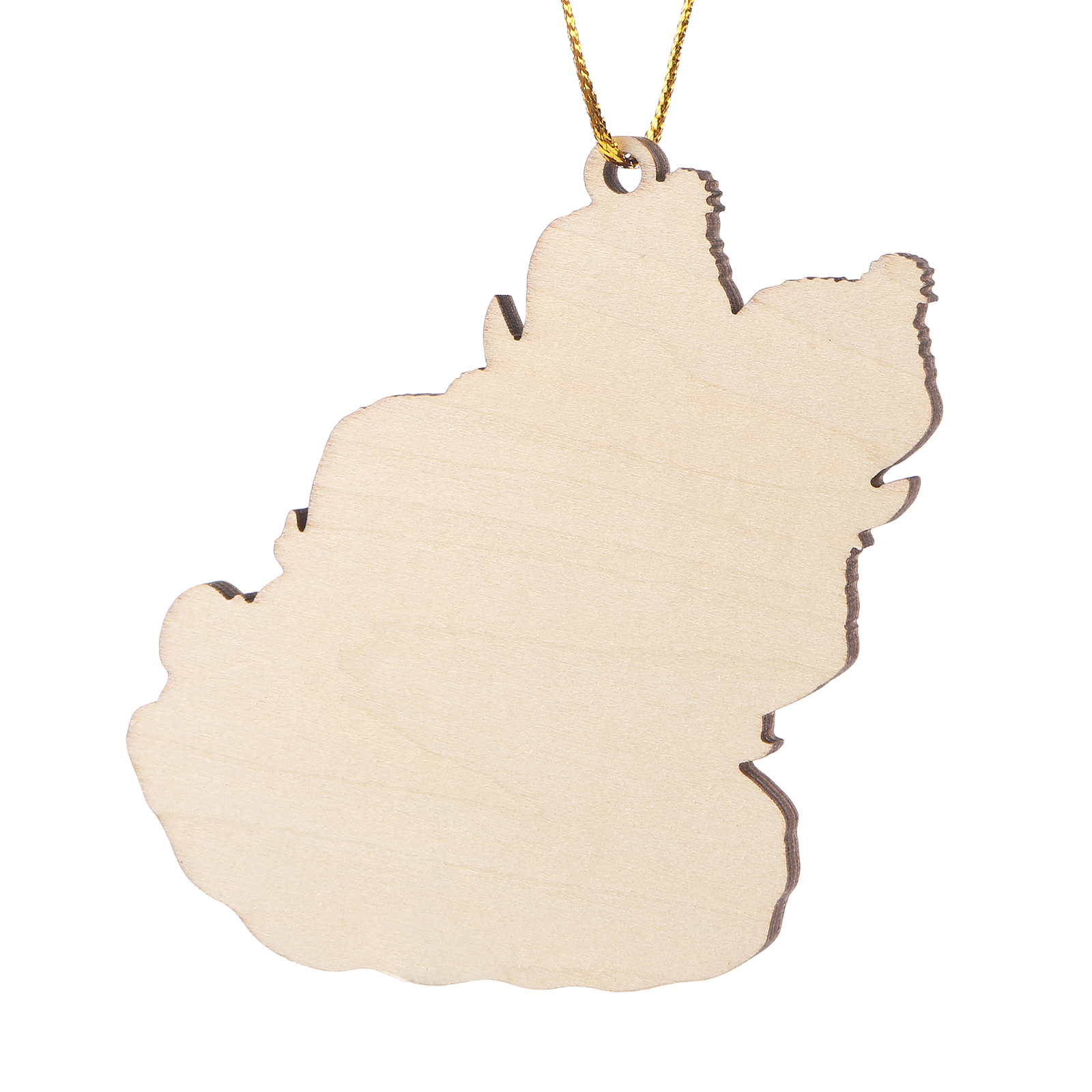 Ornamento Natalizio Personalizzato in Legno a Forma di Pinguino - 5 Nomi, Data e Testo, Regalo di Natale per Famiglia | Jessemade