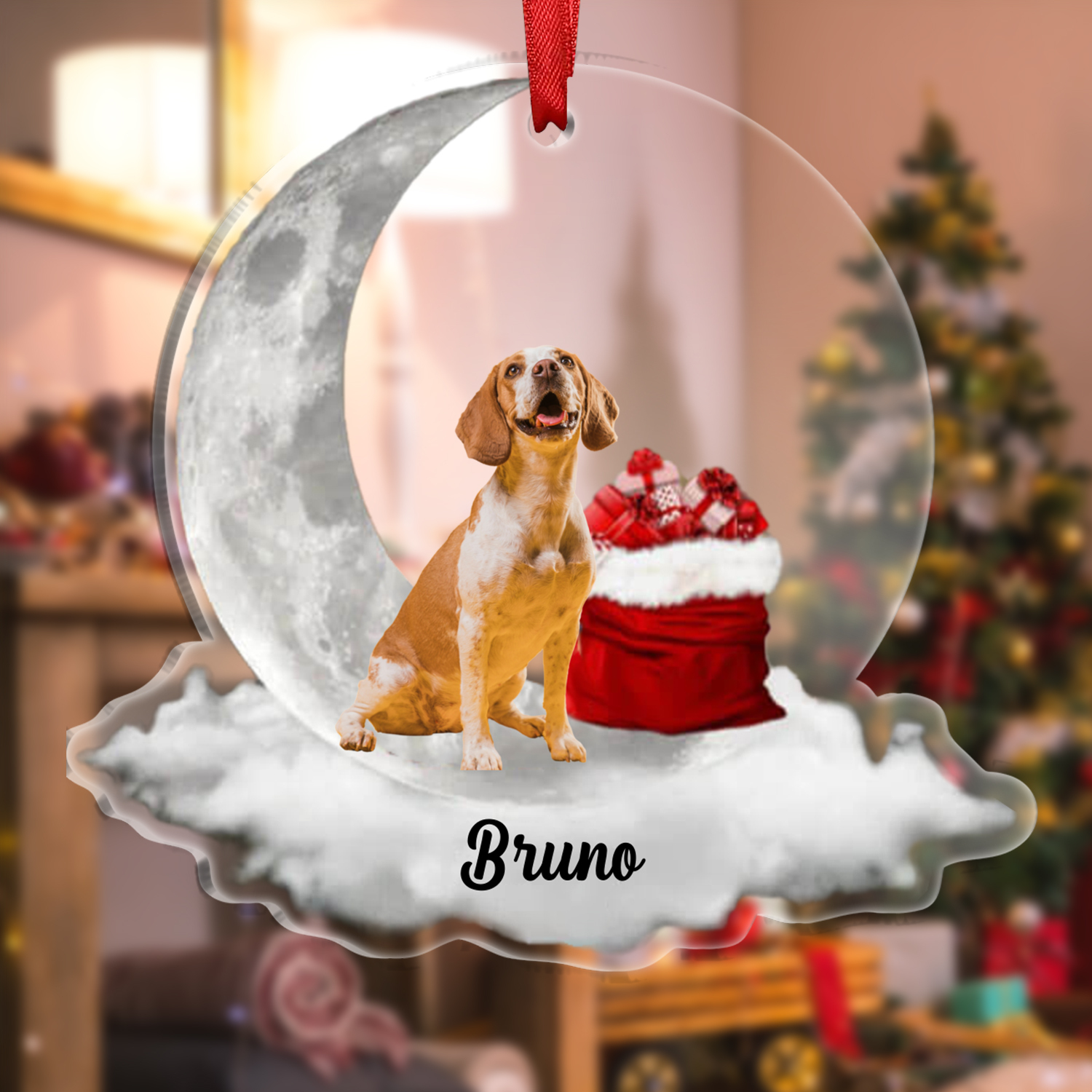 Cane luna e regalo-ornamento natalizio personalizzato con foto e nome