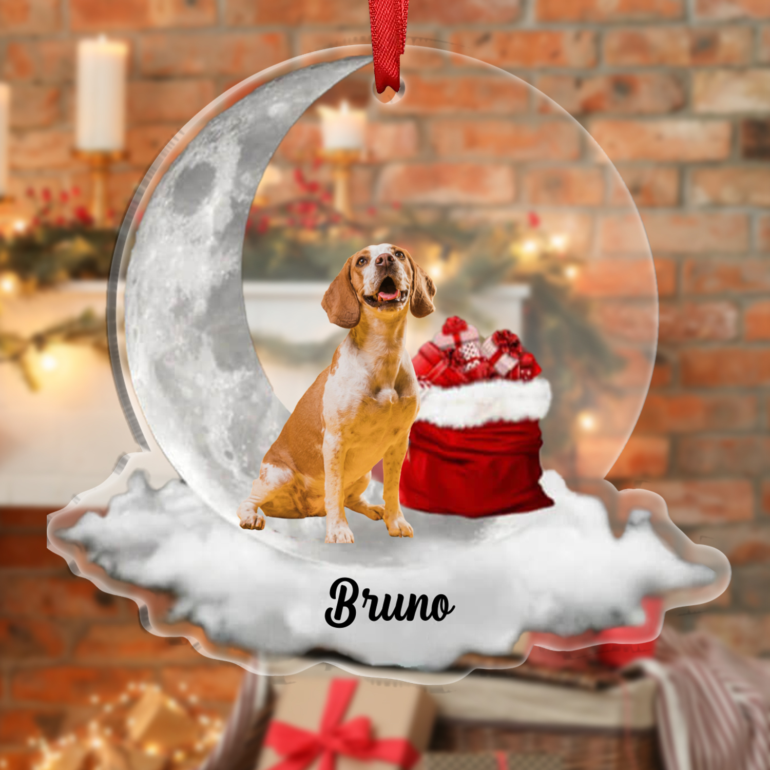 Cane luna e regalo-ornamento natalizio personalizzato con foto e nome