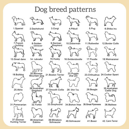 Collar de Perro con 1 Nombre Personalizado