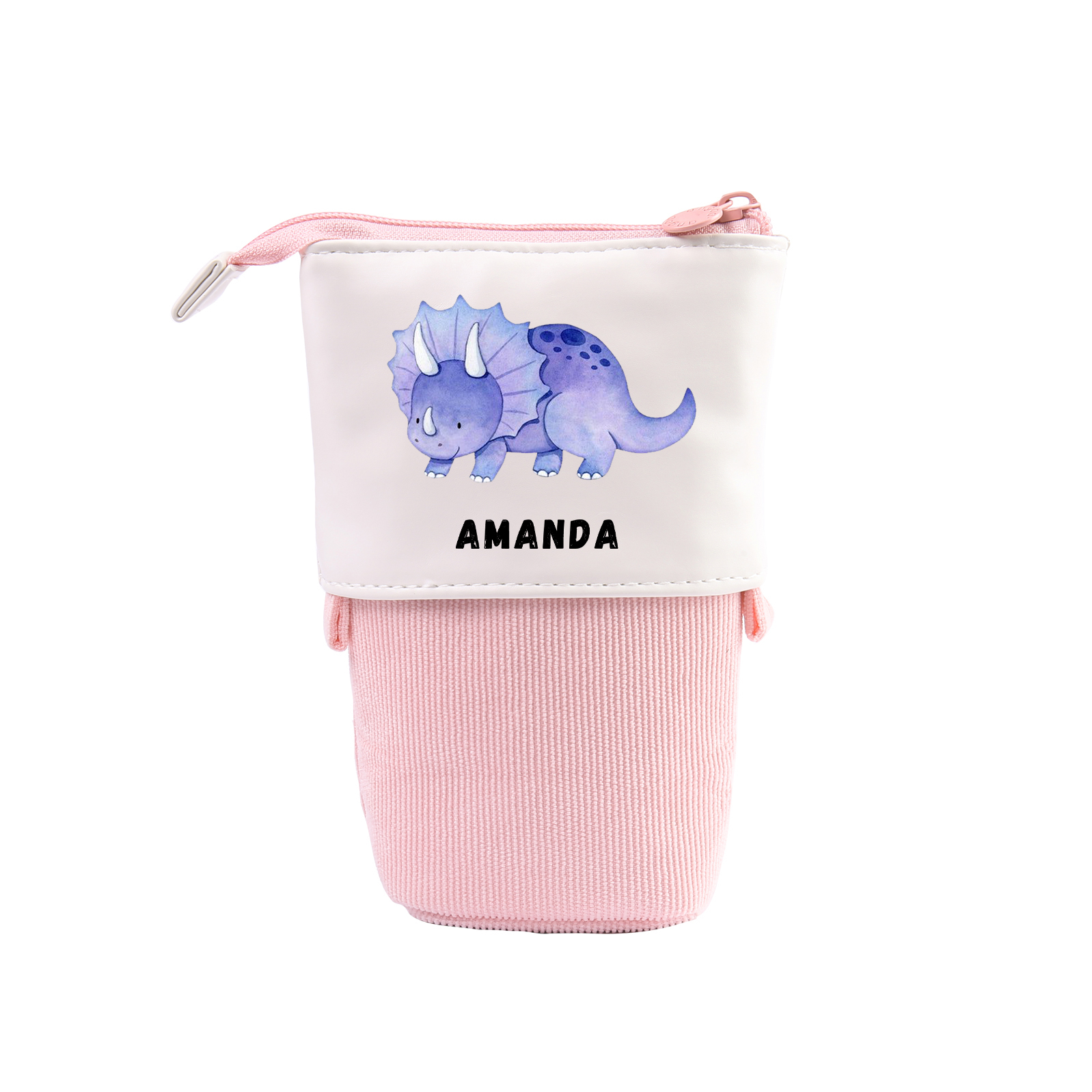 Estuche personalizado con nombre con diseños coloridos de dinosaurio para niños