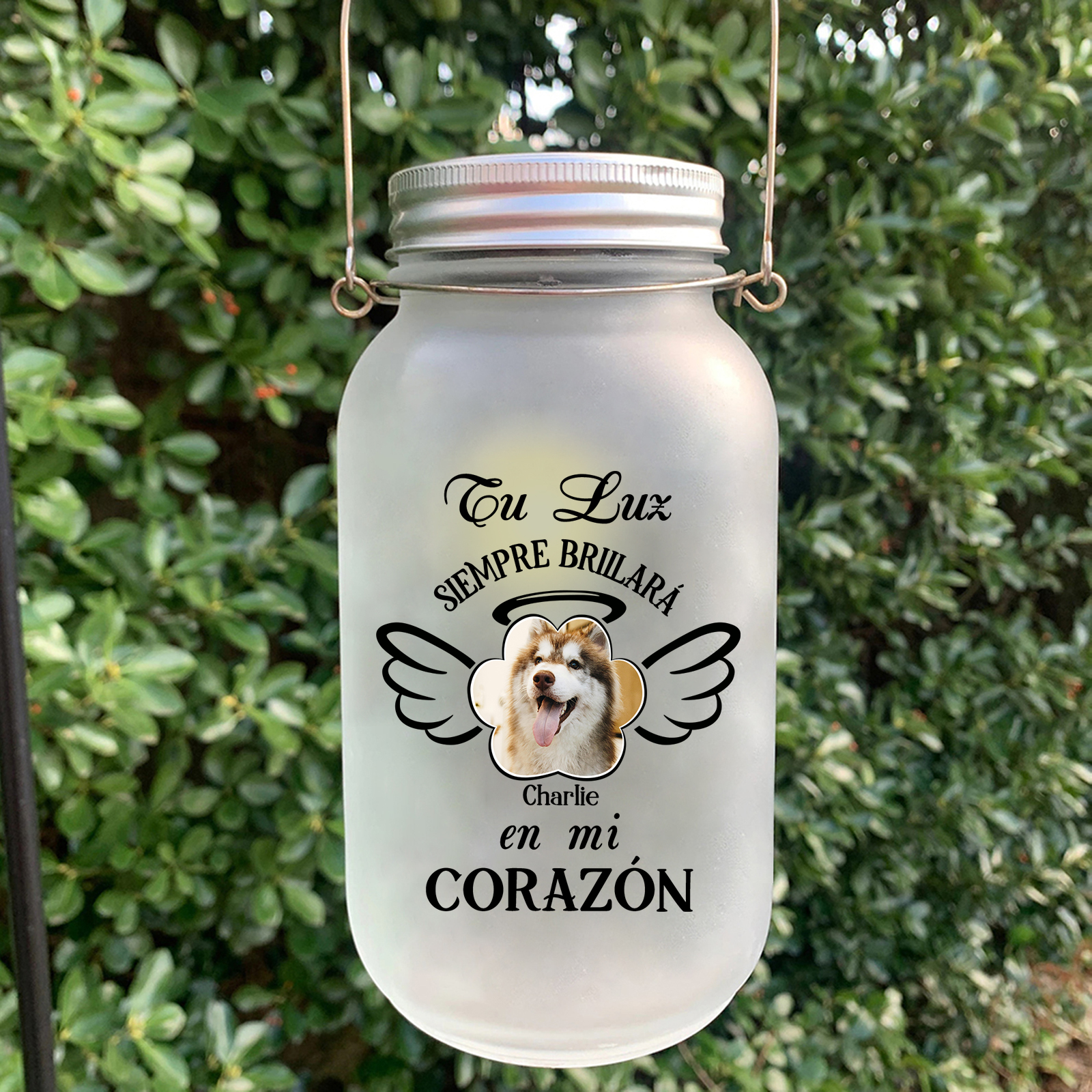 Botella con Lámpara Conmemorativa a Mascota Alas y Halo Personalizada con Nombre y Foto | Jessemade