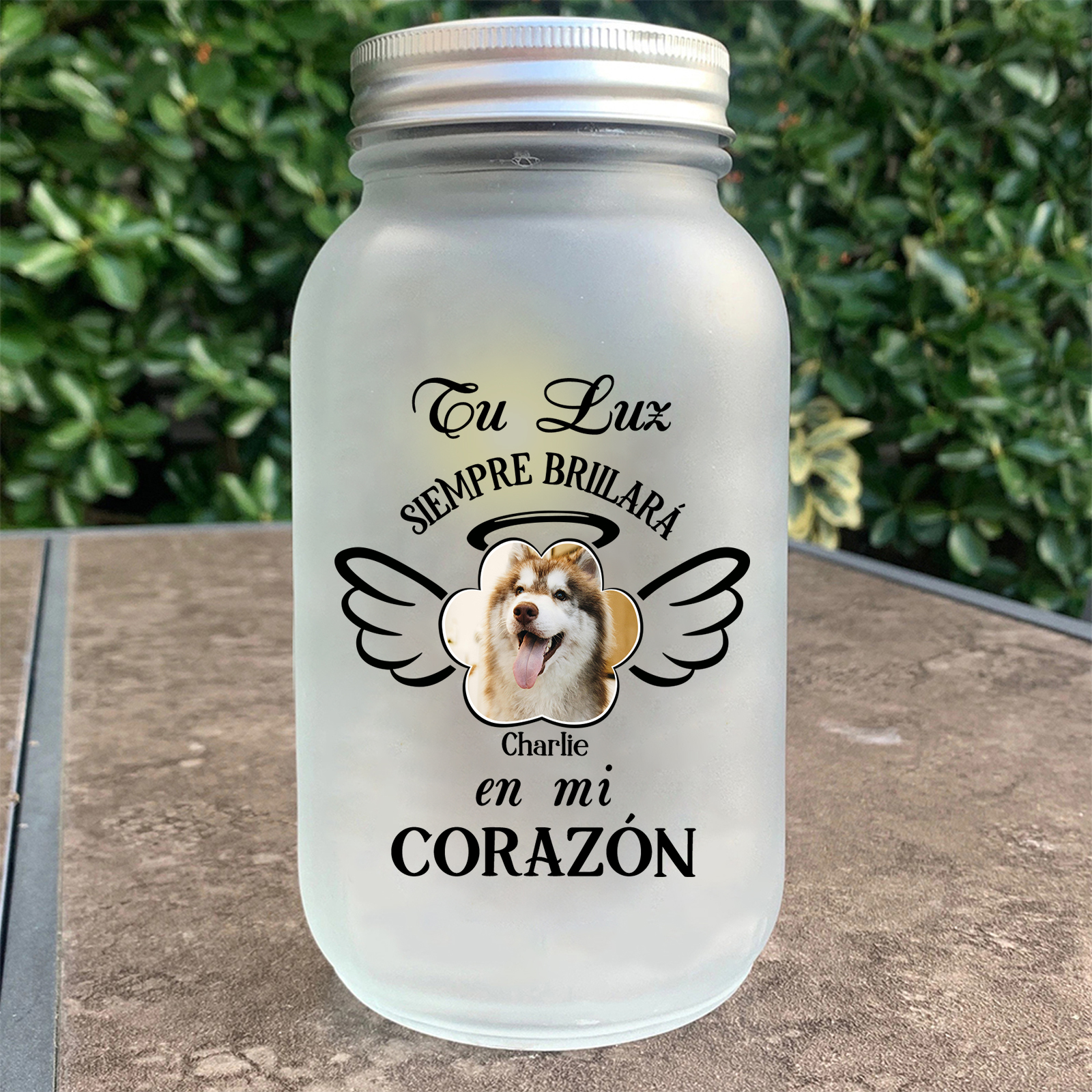 Botella con Lámpara Conmemorativa a Mascota Alas y Halo Personalizada con Nombre y Foto | Jessemade