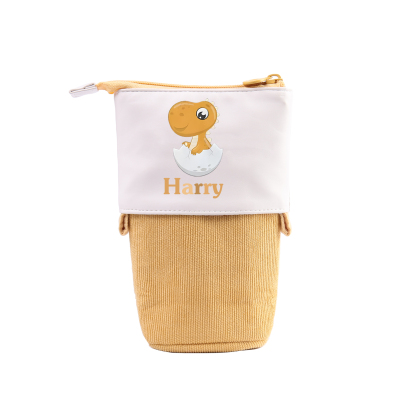 Estuche personalizado con nombre con diseños coloridos de dinosaurio para niño