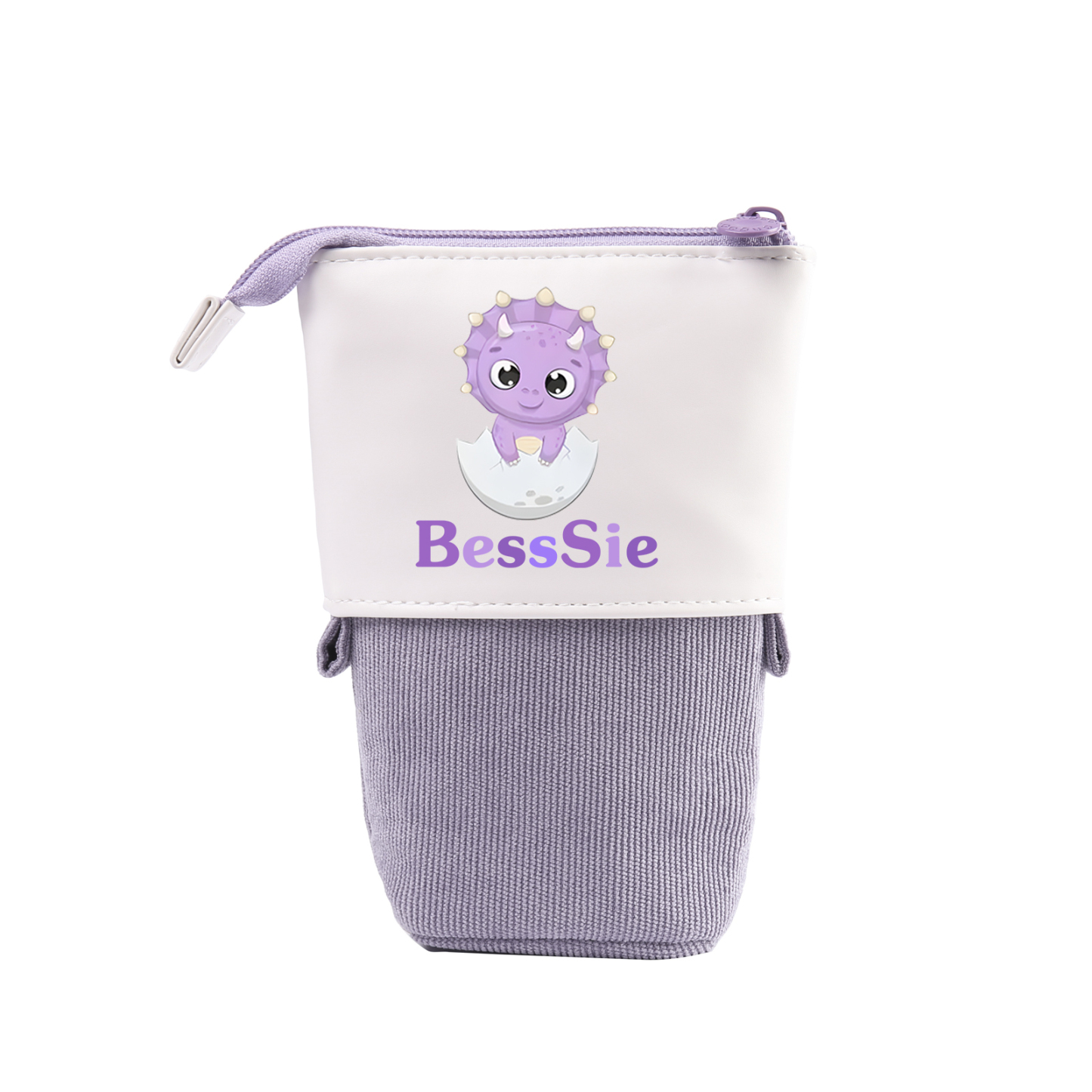 Estuche personalizado con nombre con diseños coloridos de dinosaurio para niño