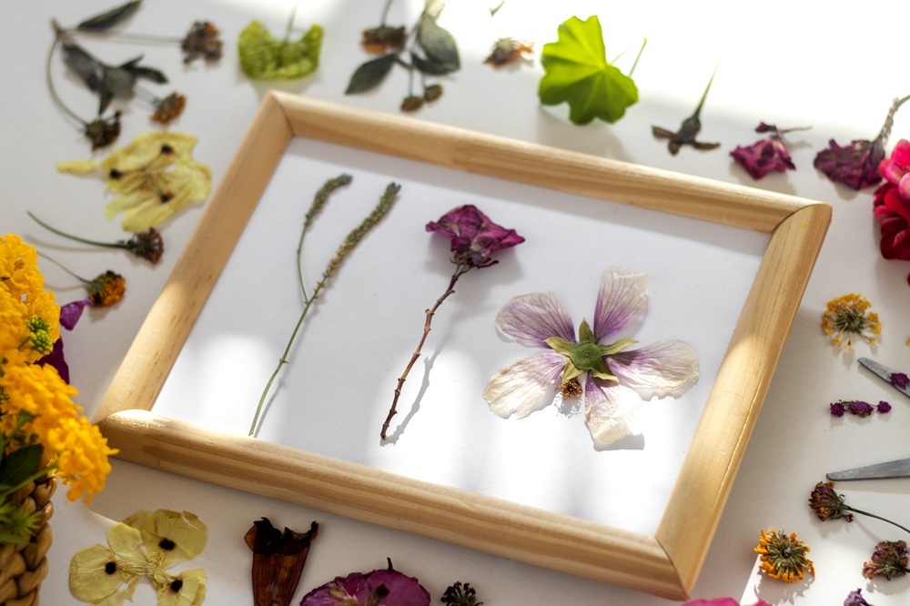 Pressed flowers and leaves arranged on paper for botanical artwork