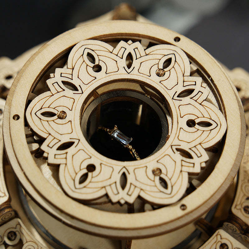 [Only Ship To U.S.] ROKR Secret Garden Mechanical Music Box AMK52