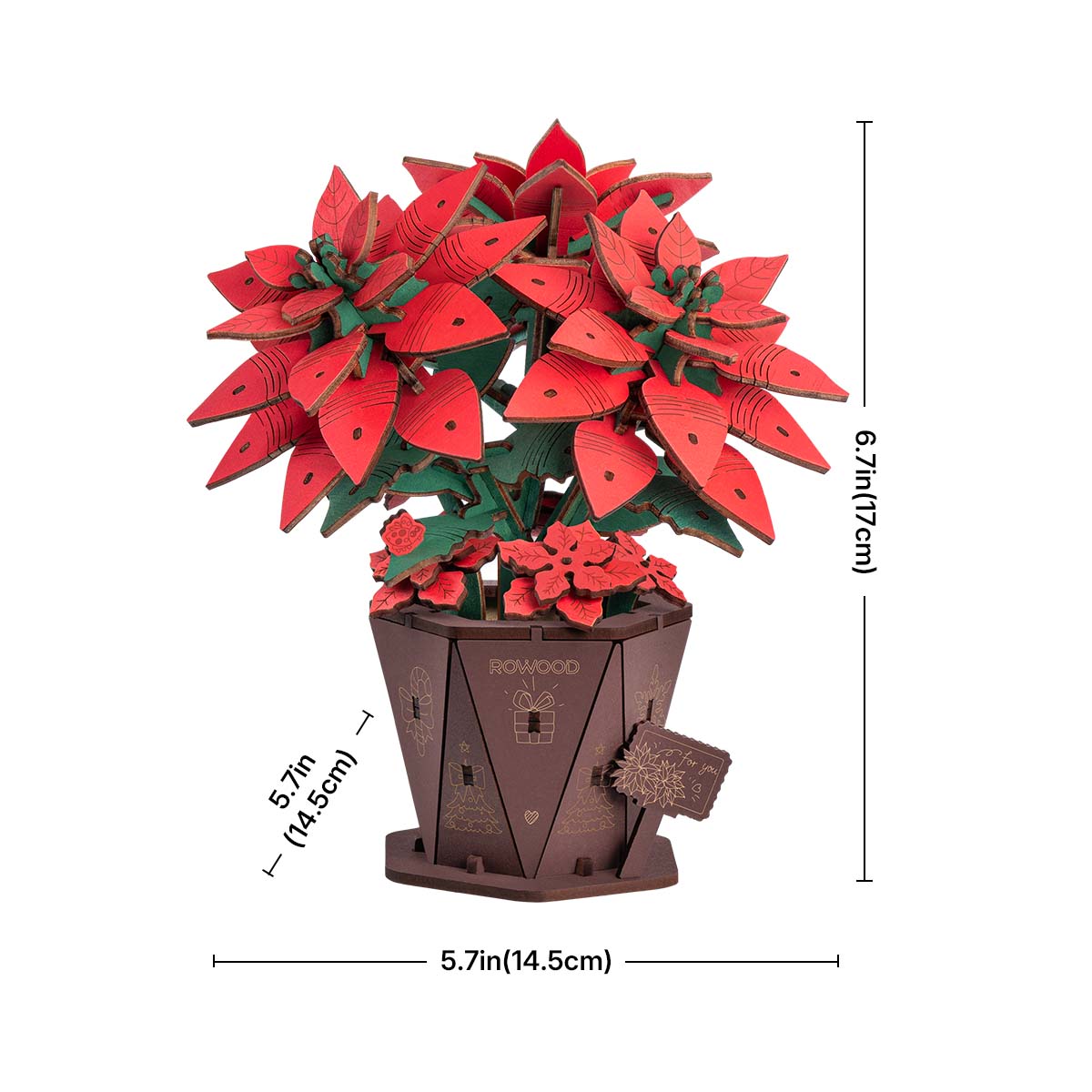 Rowood Poinsettia TF001 - DIY Flower Bouquet 3D Wooden Puzzle – ROKR
