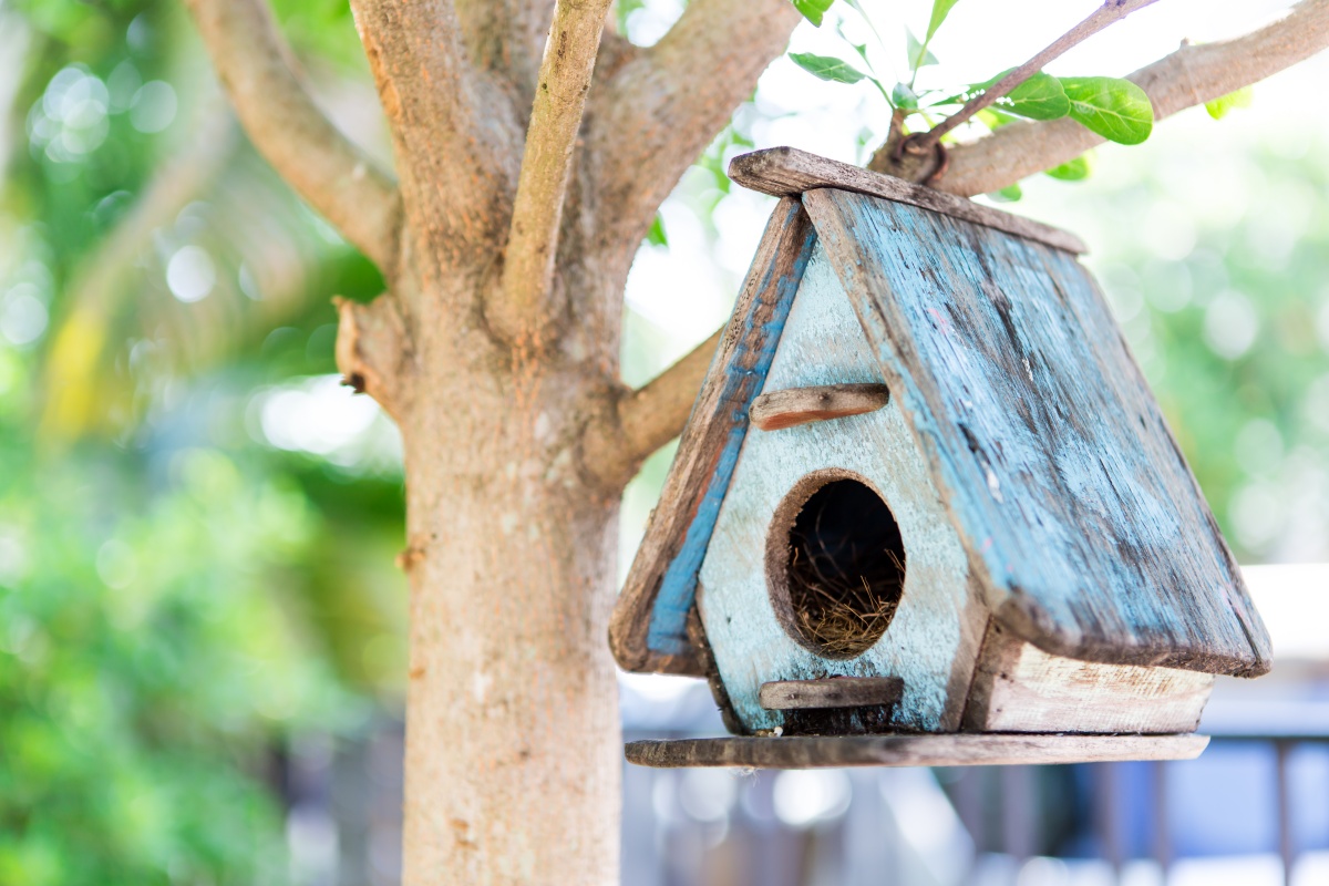 Set up a birdhouse