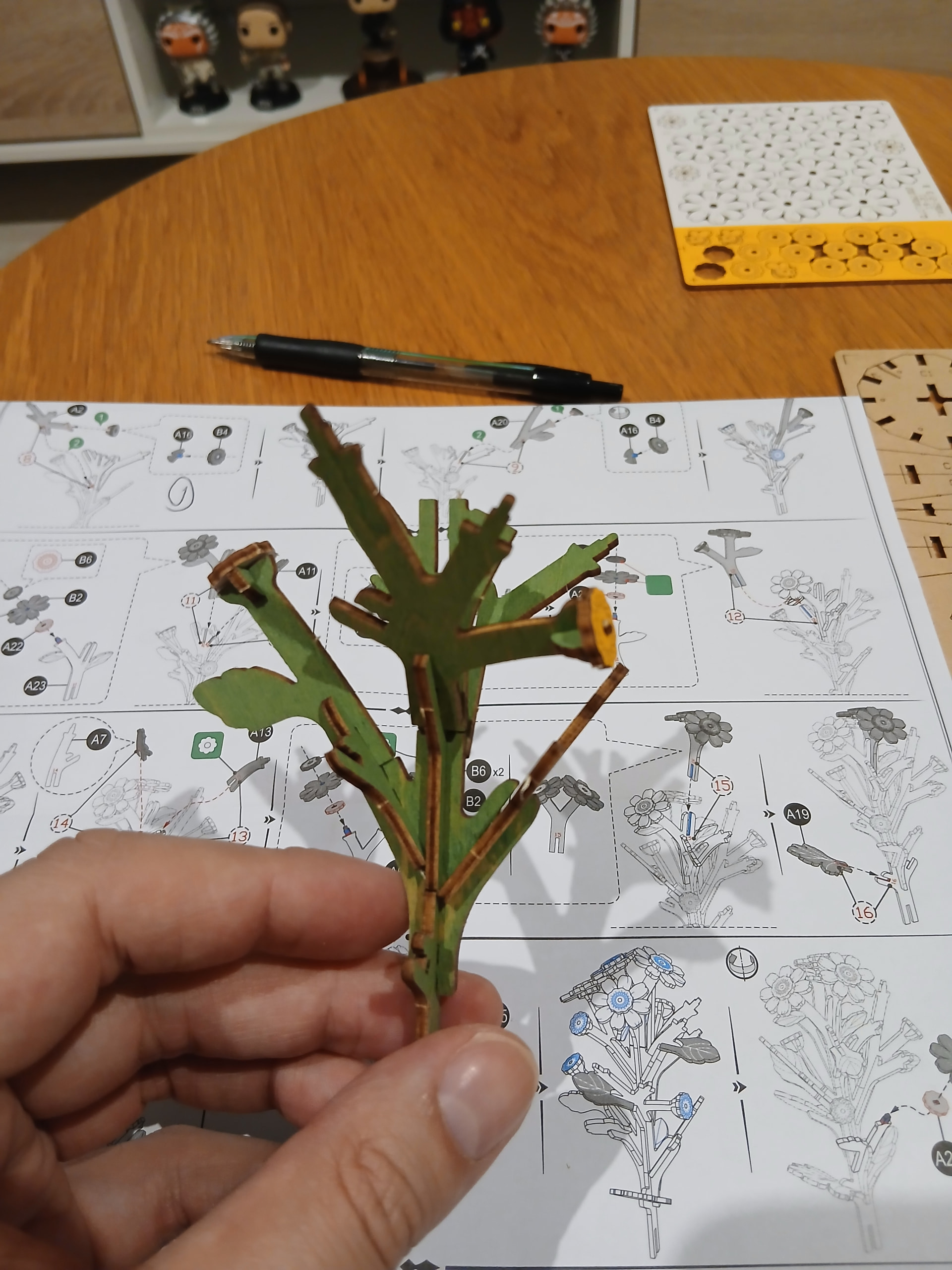 TheToday holding the assembled central stem structure of the Rowood Chamomile kit