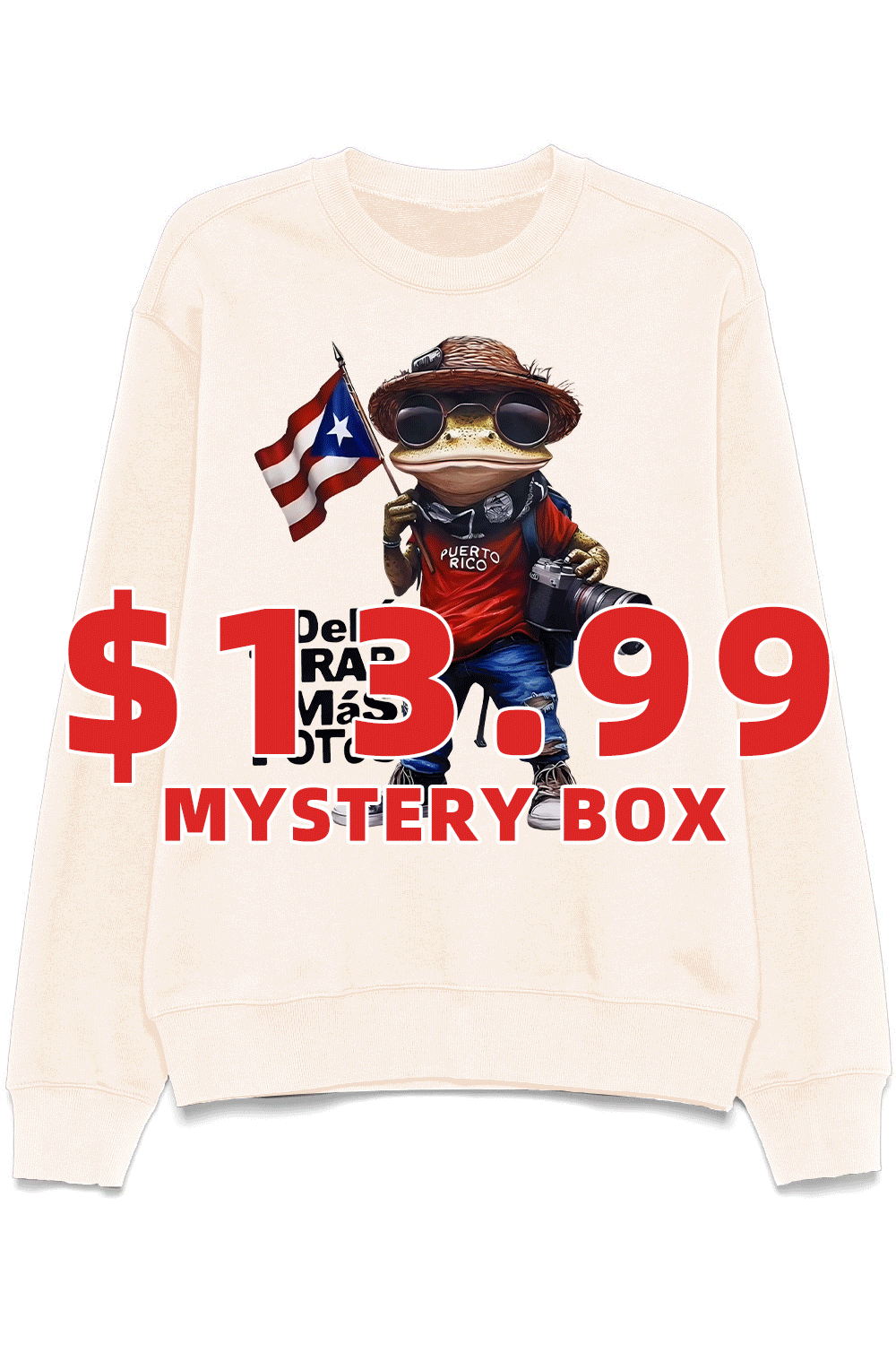 MYSTERY GIFT(Available Sweatshirt Only)