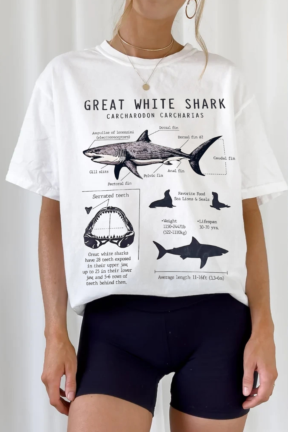 shark  TEE