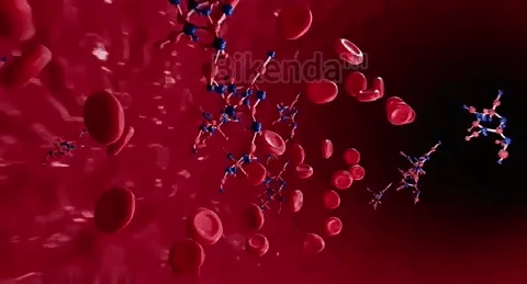 Hermsa™ Precision Noninvasive Bluetooth Blood Glucose and Ketone Testing Medical Device