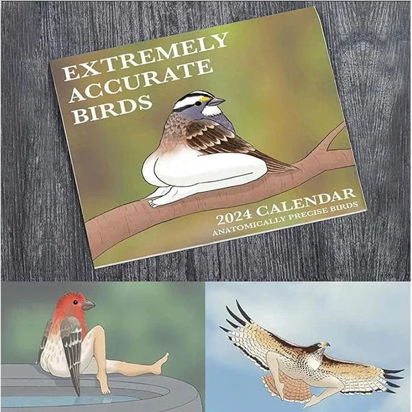 🎁 50% sleva na všechny produkty !🐦Kalendář extrémně přesných ptáků na rok 2024💖
