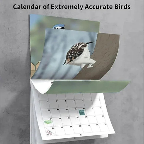 🎁 50% sleva na všechny produkty !🐦Kalendář extrémně přesných ptáků na rok 2024💖