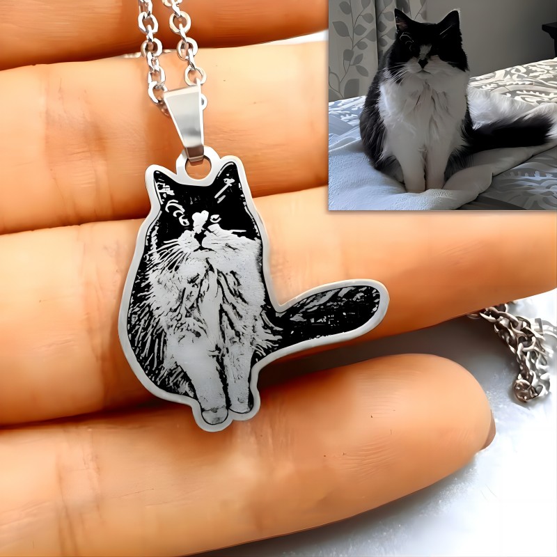 Vlastní obrázek vyrytý náhrdelník pro milovníka domácích mazlíčků Personalizovaný náhrdelník Foto přívěsek Sterling Silver