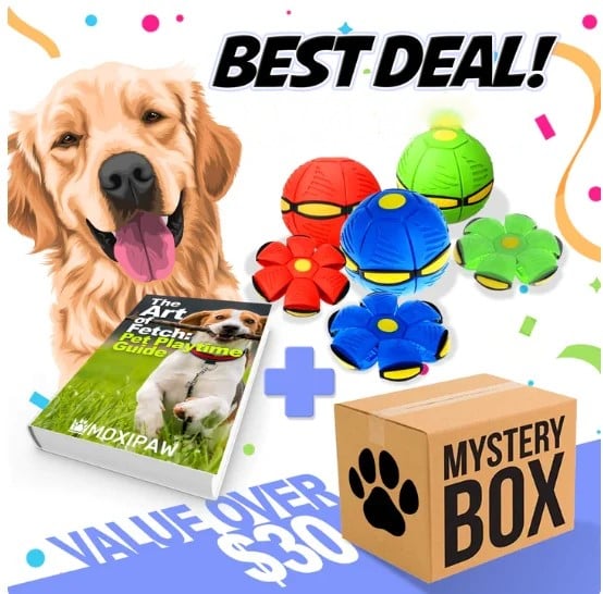 🐕The Doggy Disc Ball Toy❤️