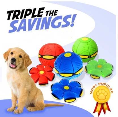 🐕The Doggy Disc Ball Toy❤️