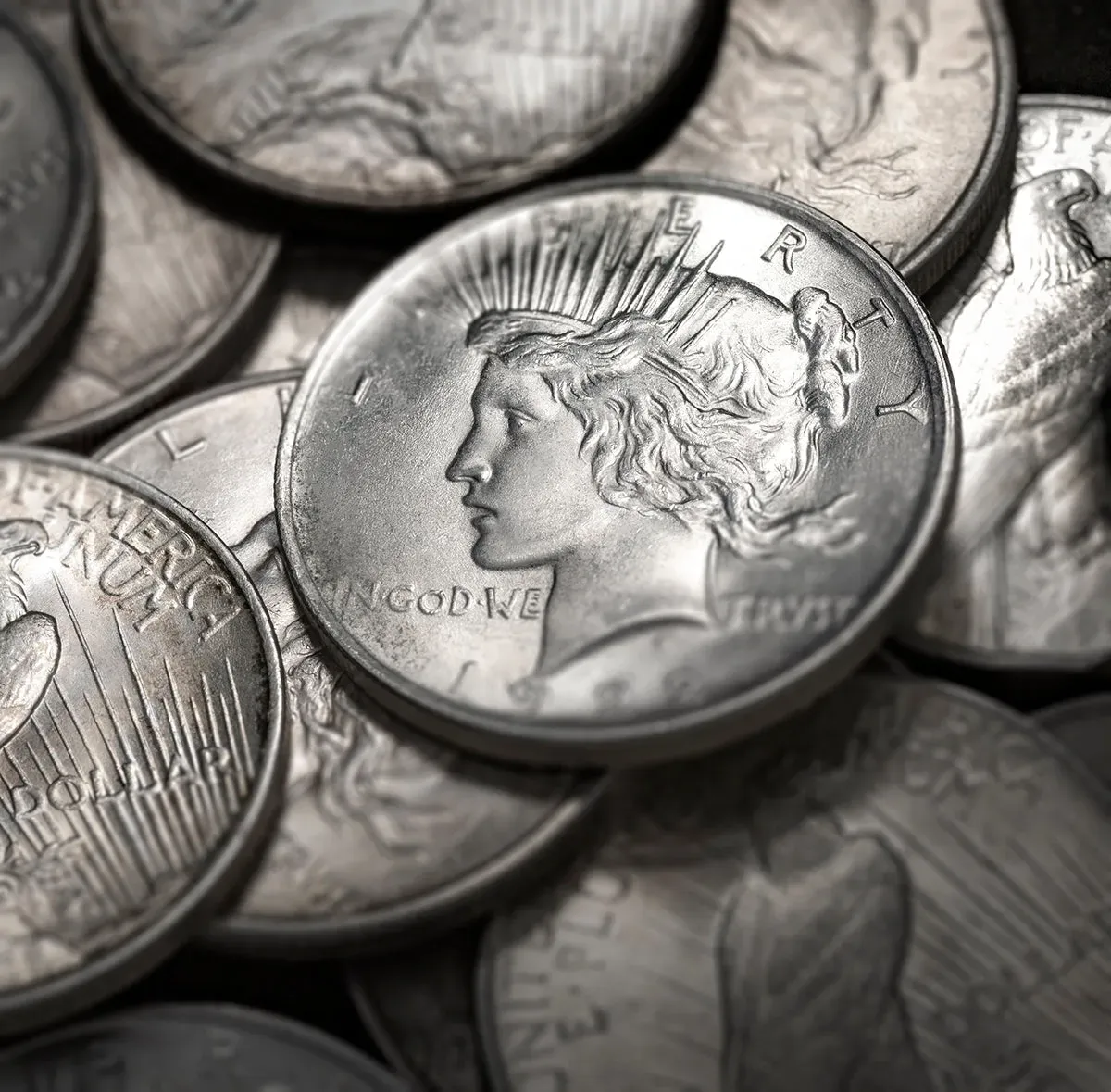 The Complete Collection of 1921~1935 Peace Silver Dollar