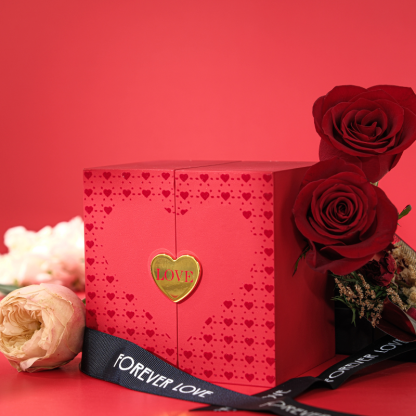 Valentine's Day S925 Moissanite Emerald Cut Square Diamond Gift Box Three-piece Set