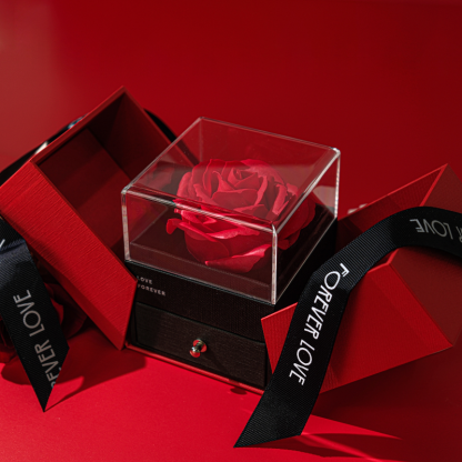 Valentine's Day S925 Moissanite Emerald Cut Square Diamond Gift Box Three-piece Set