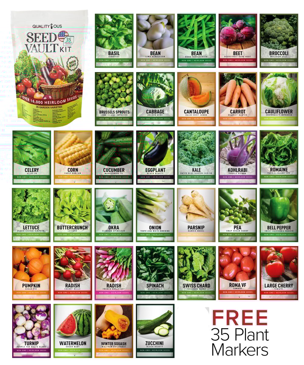 Vegetable Seed Vault Kit | 35 Variety Pack