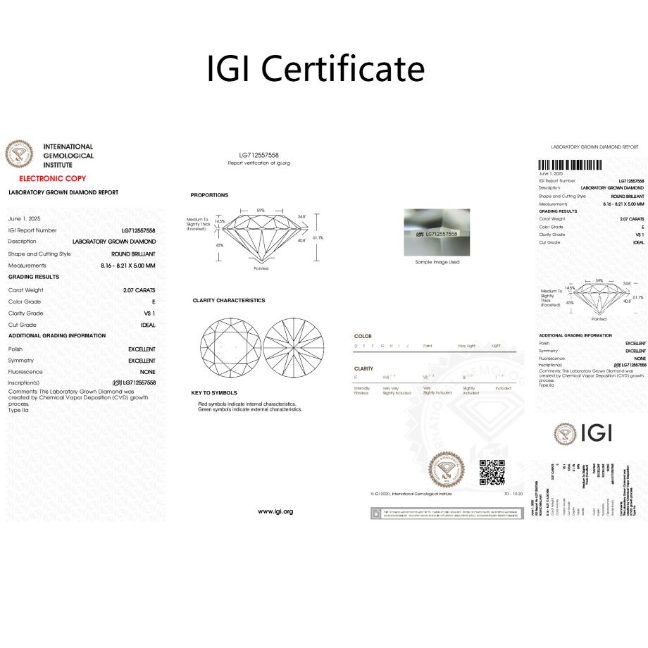 Octavia Moissanite Hoop Earrings