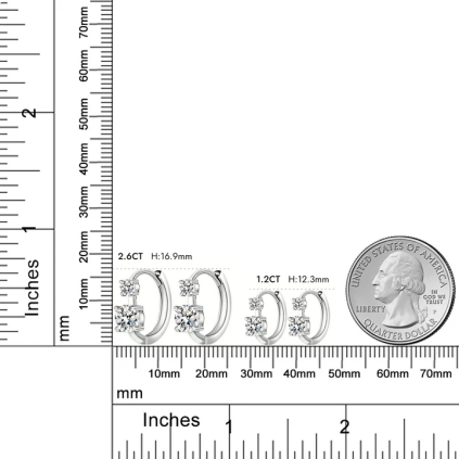 Octavia Moissanite Hoop Earrings