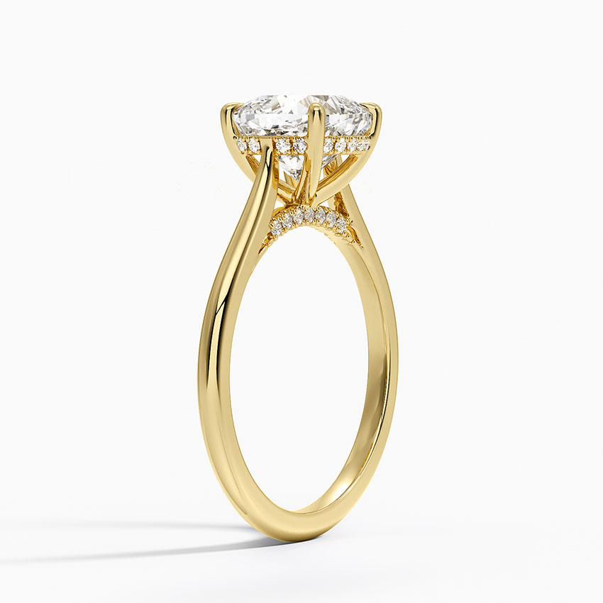Cathedral Hidden Halo Moissanite Engagement Ring-VOOGME