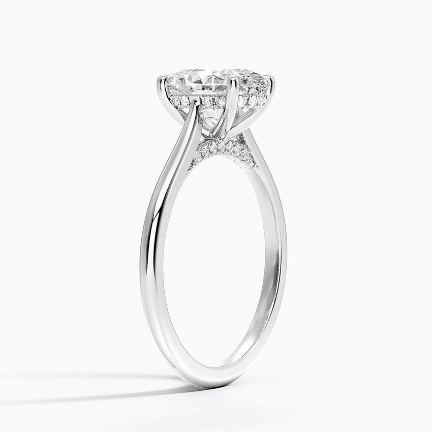 Cathedral Hidden Halo Moissanite Engagement Ring-VOOGME