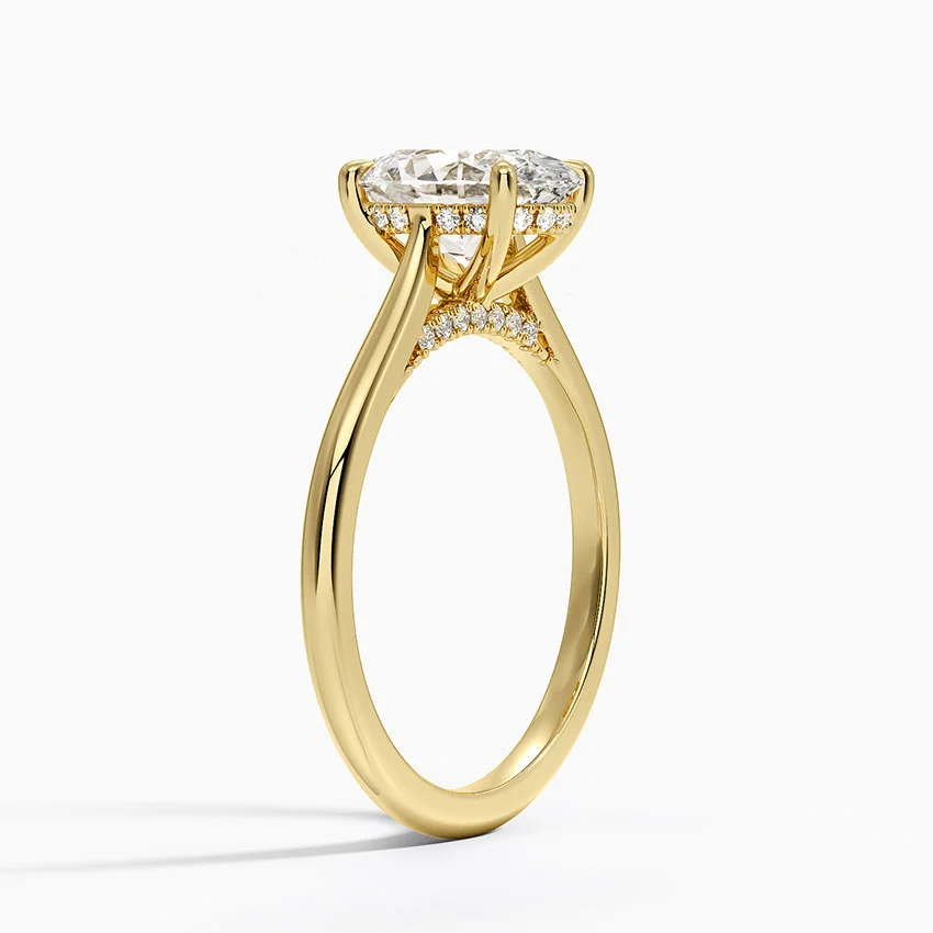 Cathedral Hidden Halo Moissanite Engagement Ring-VOOGME