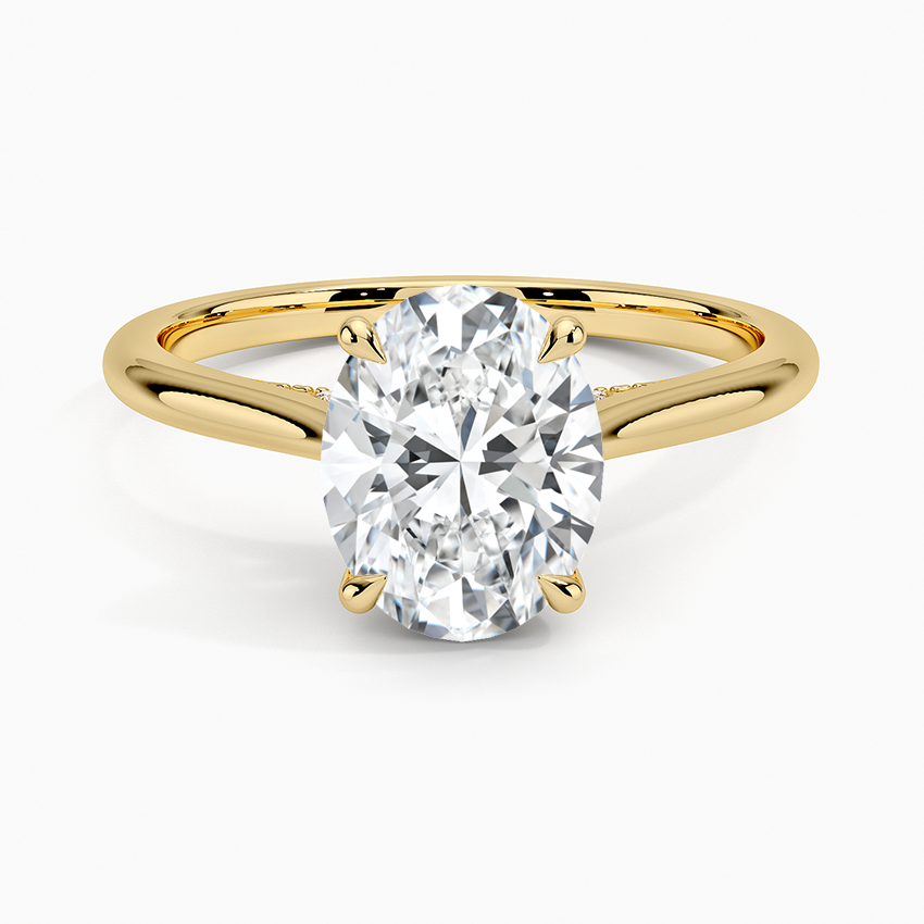 Cathedral Hidden Halo Moissanite Engagement Ring-VOOGME