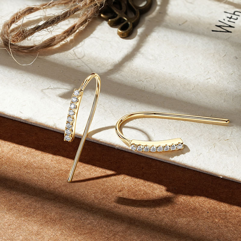 Wilma Vertical Moissanite Hook Earrings-VOOGME