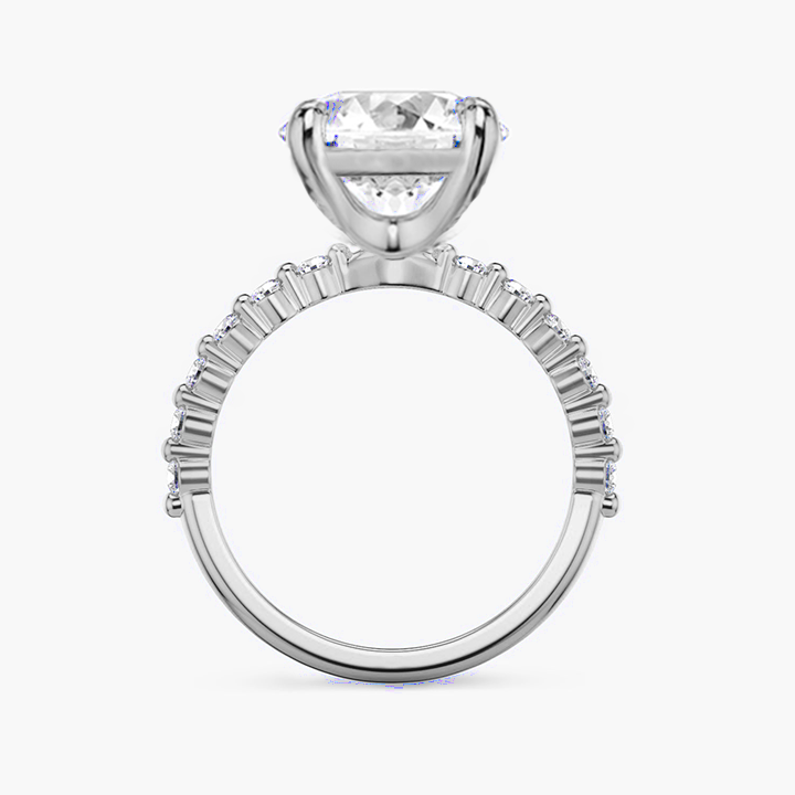 Parcel  Sidestone Moissanite Engagement Ring 3.0 ct-VOOGME