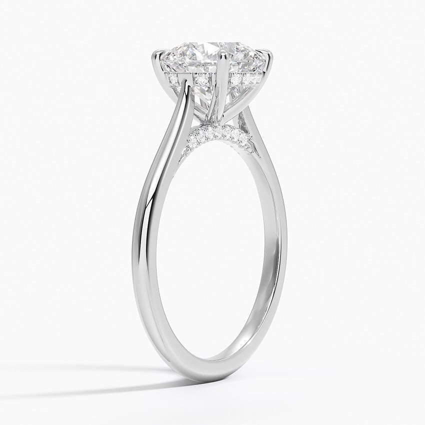 Cathedral Hidden Halo Moissanite Engagement Ring-VOOGME