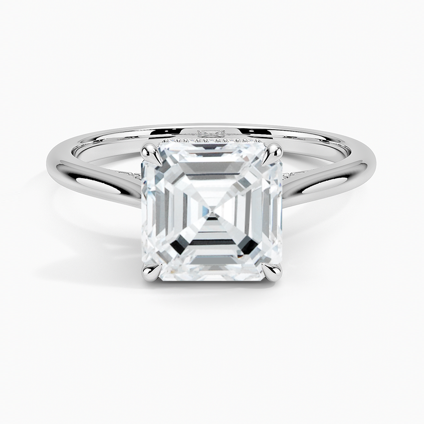 Cathedral Hidden Halo Moissanite Engagement Ring-VOOGME