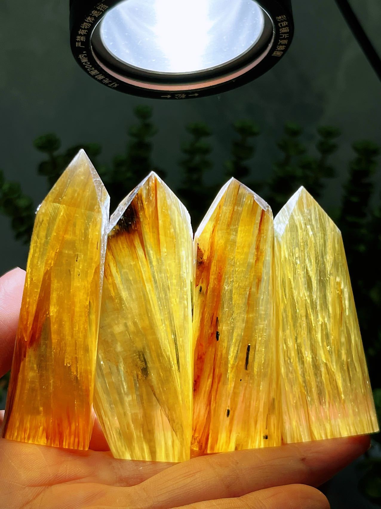 natural gold mica points