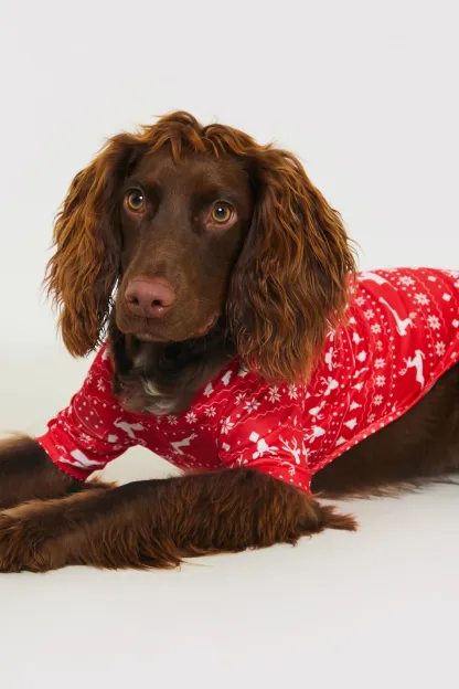 Reindeer Fairisle Dog PJ