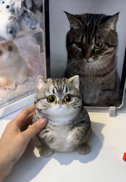 A002: Customized Chubby Big Size Silicone Cat -
