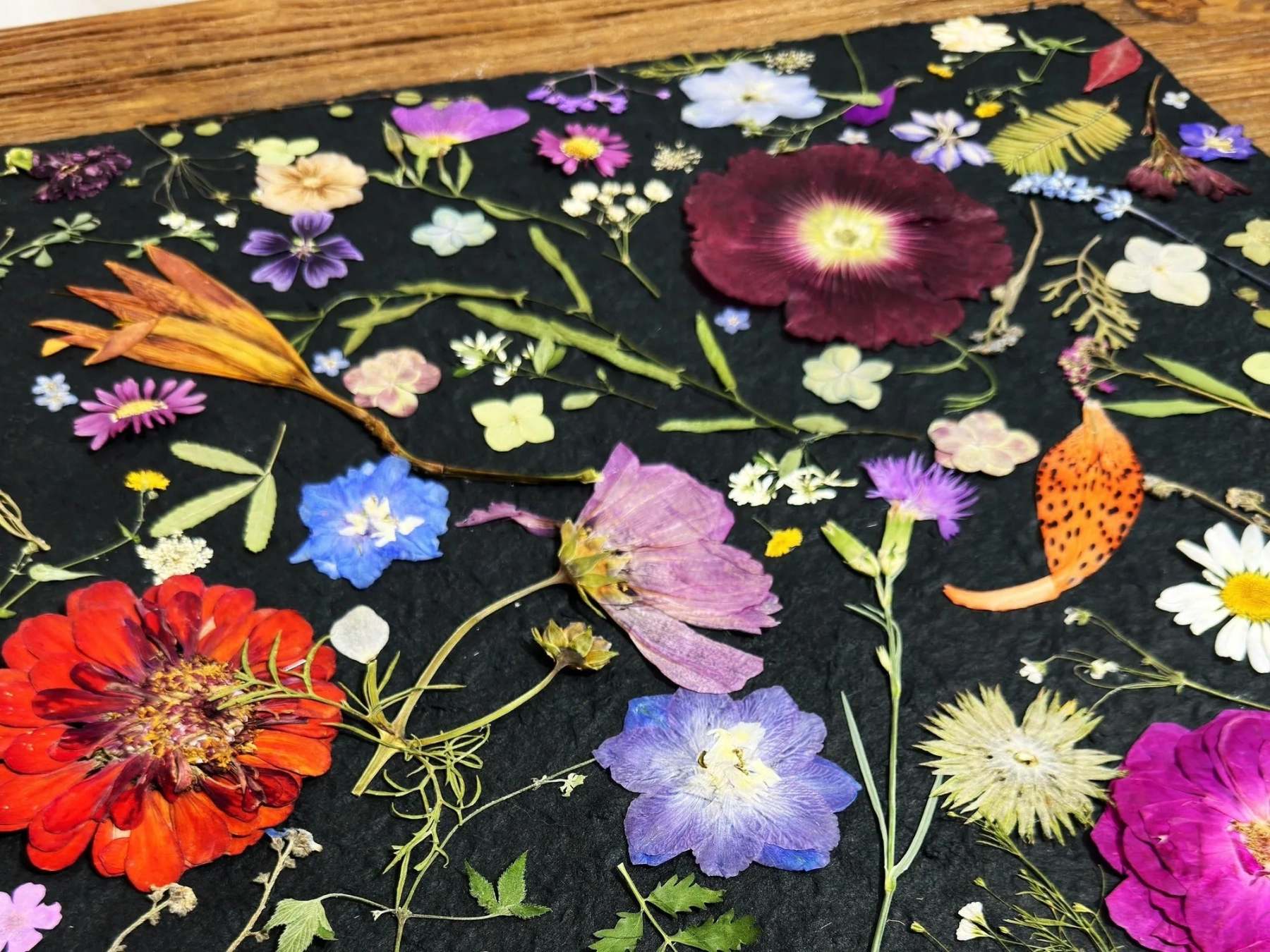 Pressed Flowers In Frame Art Dried flowers Plant