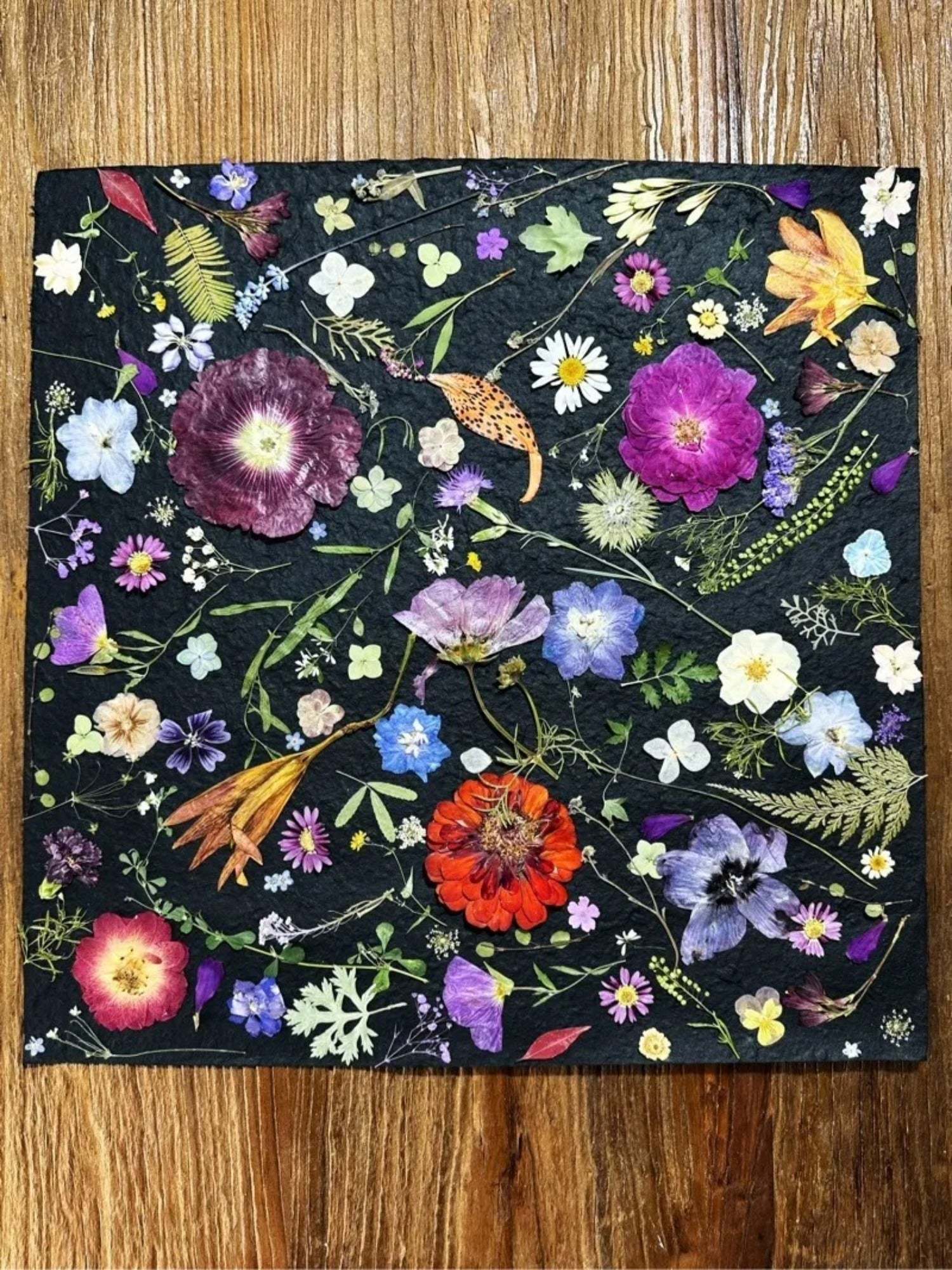 Pressed Flowers In Frame Art Dried flowers Plant