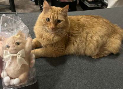 A001: Customized Lovely Slim Cat Silicone Squishy Kitty——